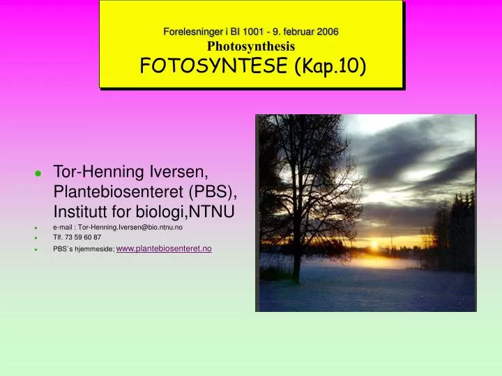 forelesninger i bi 1001 9 februar 2006 photosynthesis fotosyntese kap 10