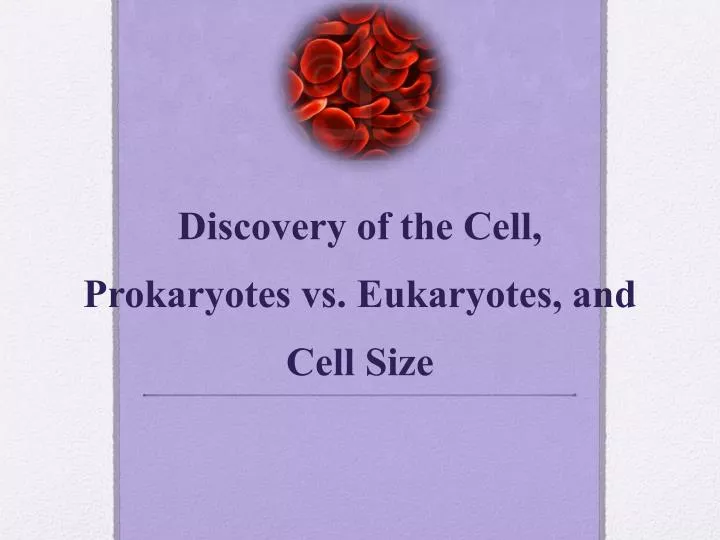discovery of the cell prokaryotes vs eukaryotes and cell size