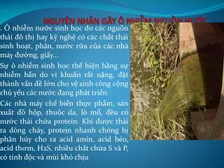nguy n nh n g y nhi m ngu n n c