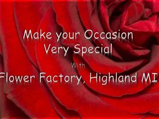 Make Your Occastion Very Special With Flower Factory - Highl