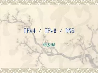 ipv4 ipv6 dns