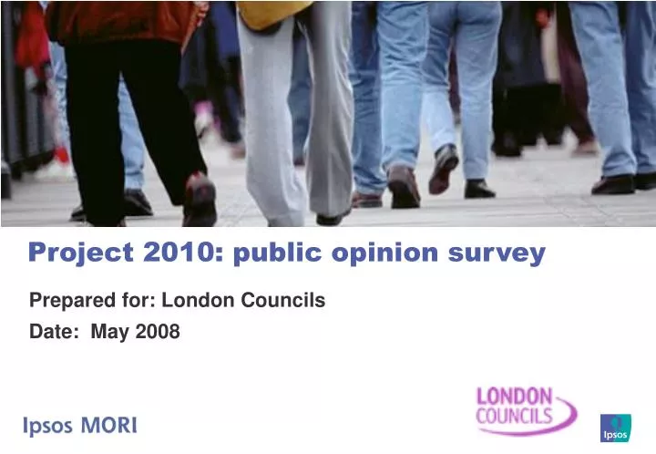 project 2010 public opinion survey