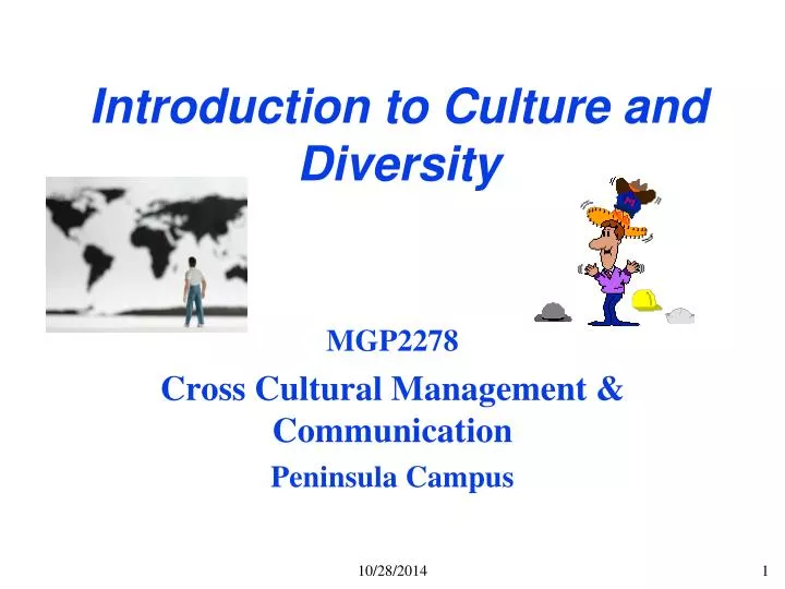 introduction to culture and diversity