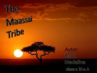 The Maassai Tribe