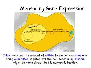 Measuring Gene Expression