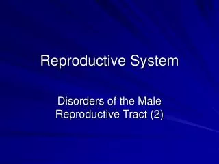 Reproductive System