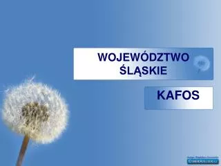 wojew dztwo l skie