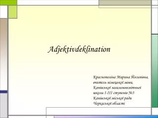 adjektivdeklination