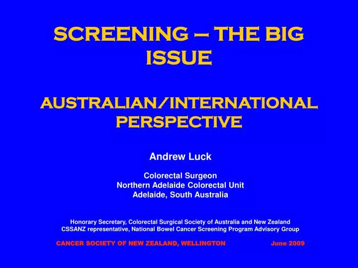 screening the big issue australian international perspective