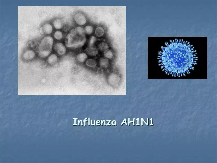 influenza ah1n1