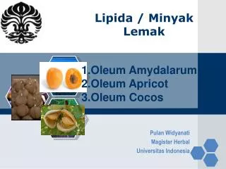 lipida minyak lemak
