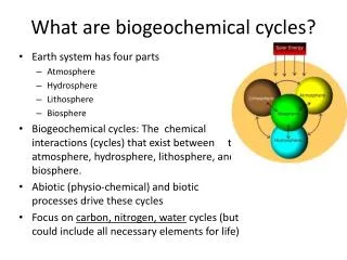 What are biogeochemical cycles?