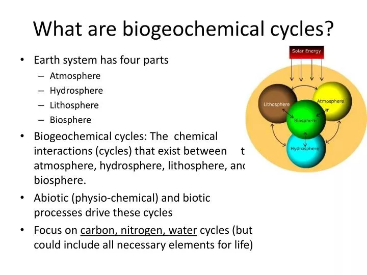 what are biogeochemical cycles