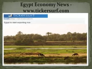 Egypt Economy News - www.tickersurf.com