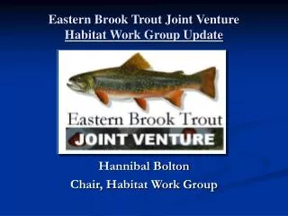 Eastern Brook Trout Joint Venture Habitat Work Group Update