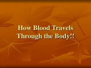 How Blood Travels Through the Body!!