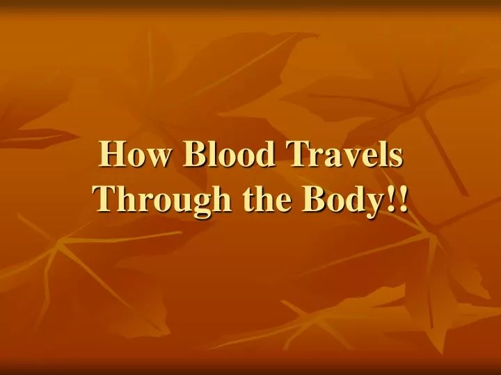 how blood travels through the body