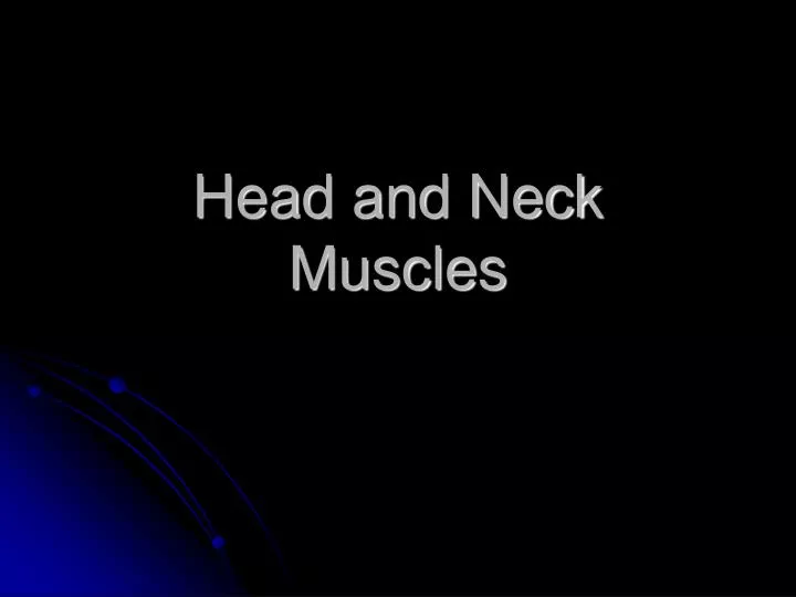 head and neck muscles