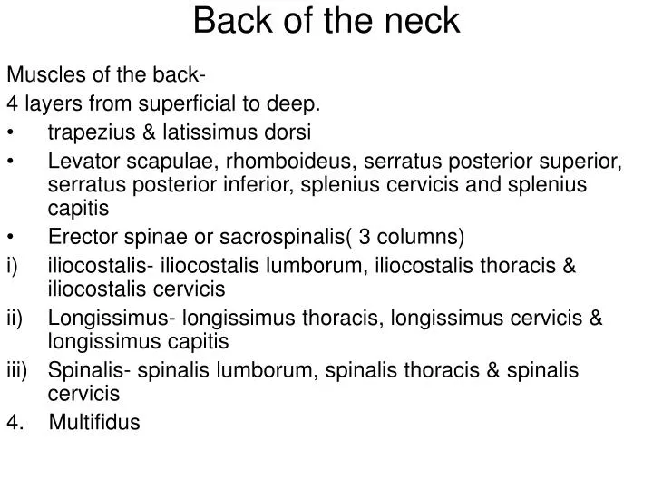 back of the neck