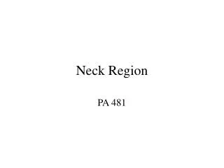 Neck Region