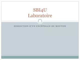 sbi4u laboratoire