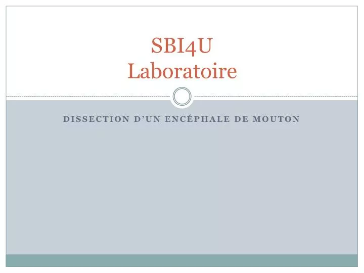 sbi4u laboratoire