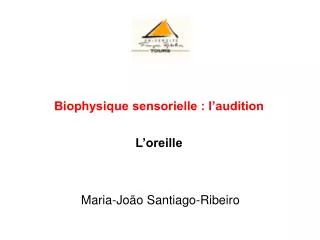 biophysique sensorielle l audition l oreille