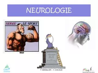 neurologie