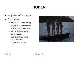 huden