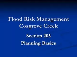 Flood Risk Management Cosgrove Creek