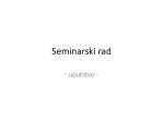 Seminarski rad - slide 1