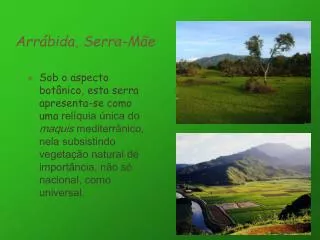 arr bida serra m e