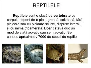 reptilele