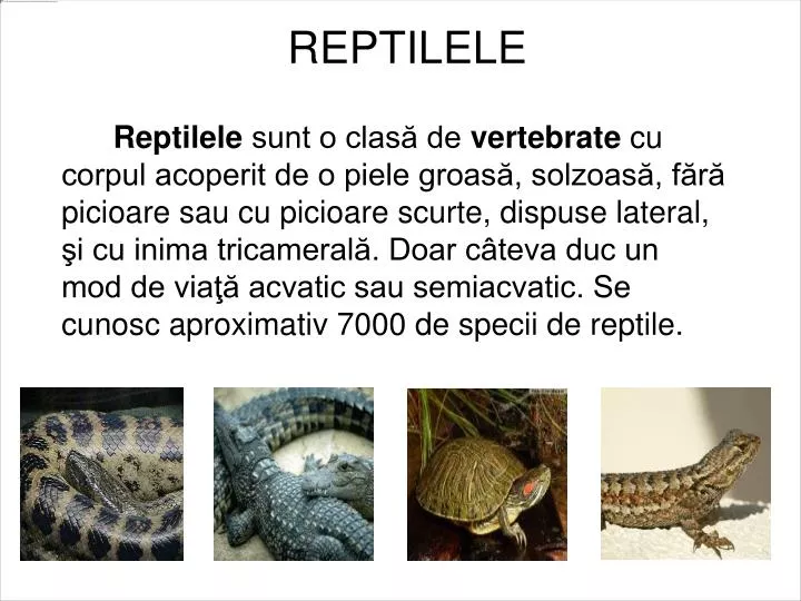 reptilele