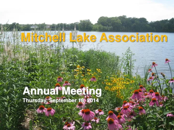 mitchell lake association