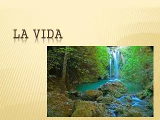 la vida