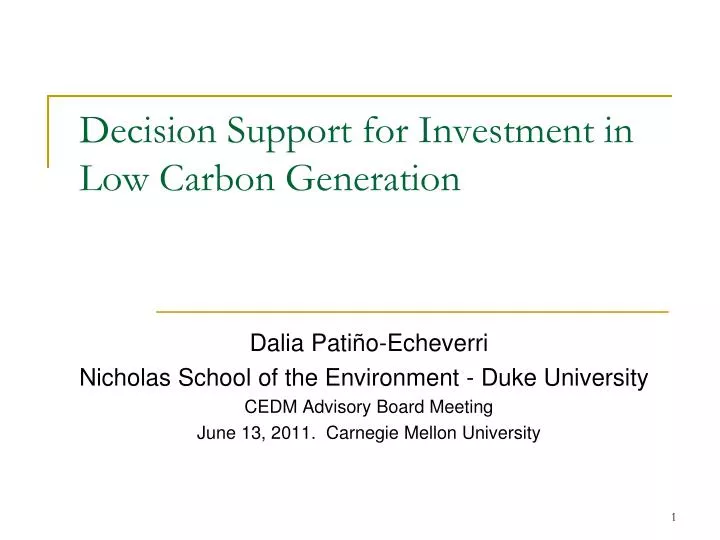 decision support for investment in low carbon generation