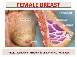FEMALE BREAST