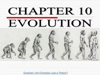 CHAPTER 10 EVOLUTION
