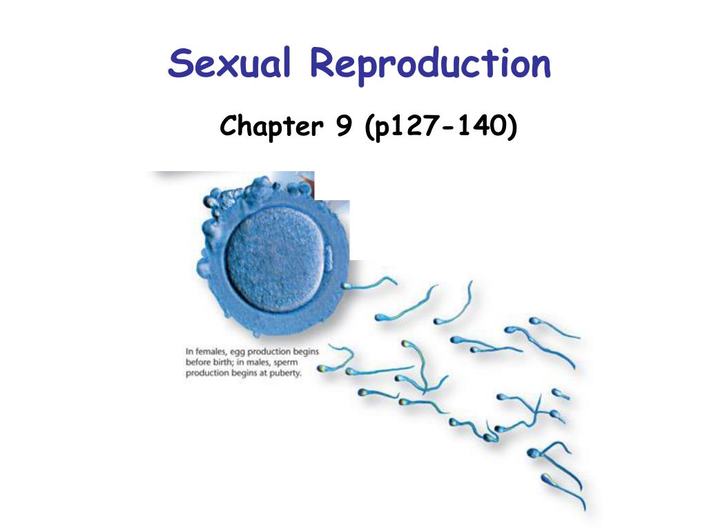 PPT - Understanding Meiosis and Down Syndrome in Sexual Reproduction ...