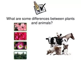 What are some differences between plants and animals?