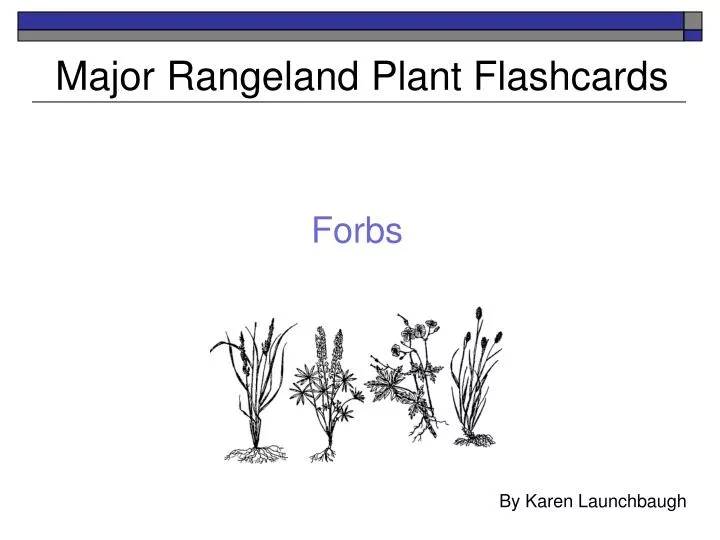 major rangeland plant flashcards