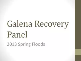 Galena Recovery Panel