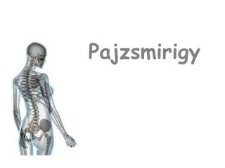 pajzsmirigy