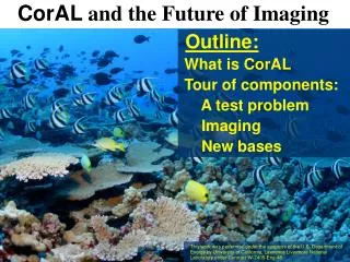 CorAL and the Future of Imaging