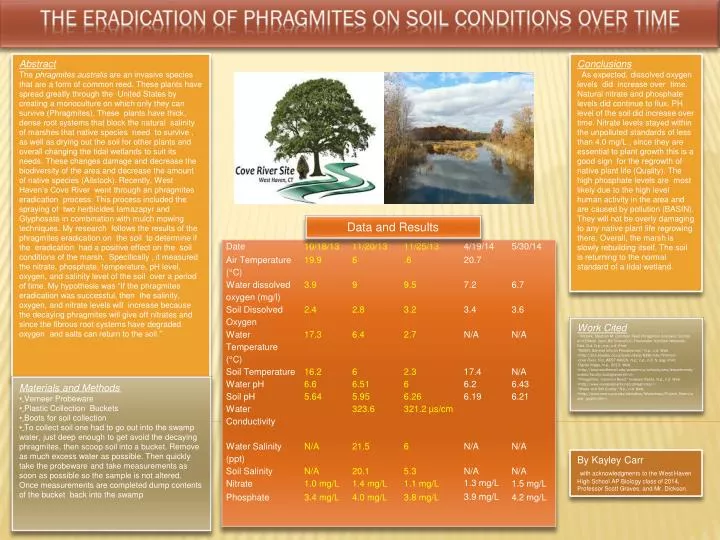 the eradication of phragmites on soil conditions over time