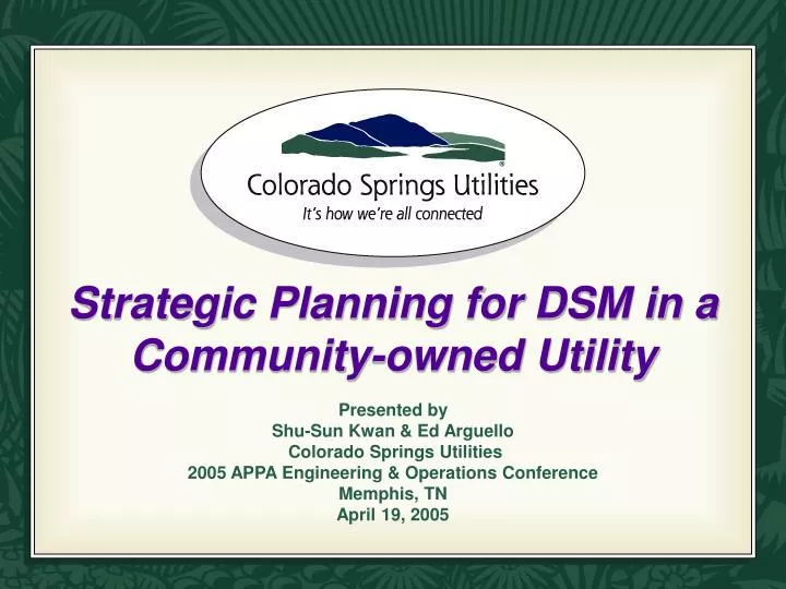 strategic planning for dsm in a community owned utility