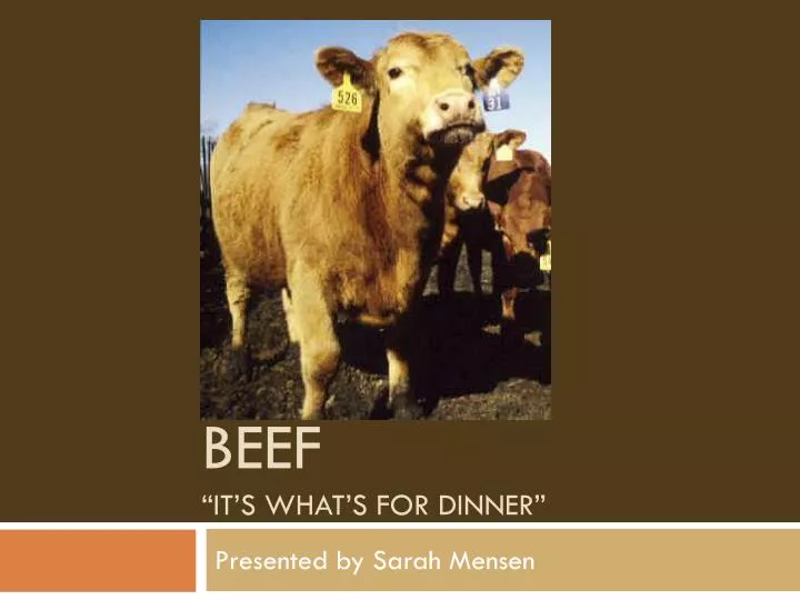 beef it s what s for dinner