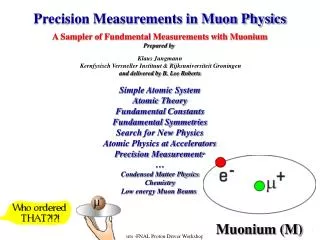 Precision Measurements in Muon Physics A Sampler of Fundmental Measurements with Muonium