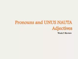 Pronouns and UNUS NAUTA Adjectives